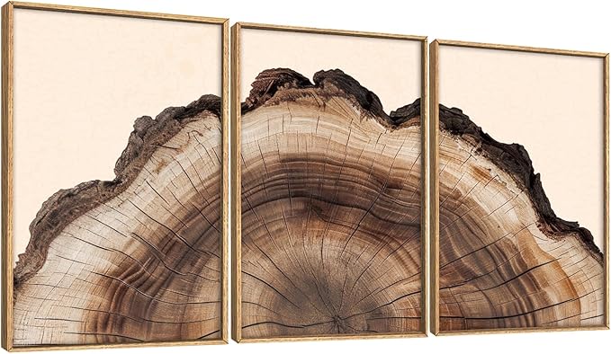 KAIRNE Vintage Tree Rings Framed Canvas Wall Art Set, Retro Wood Stump Wall Decor, Neutral Tree Spiral Art Prints, Modern Annual Ring Artwork for Living Room, Bedroom, Farmhouse, Office-16 x24 x3