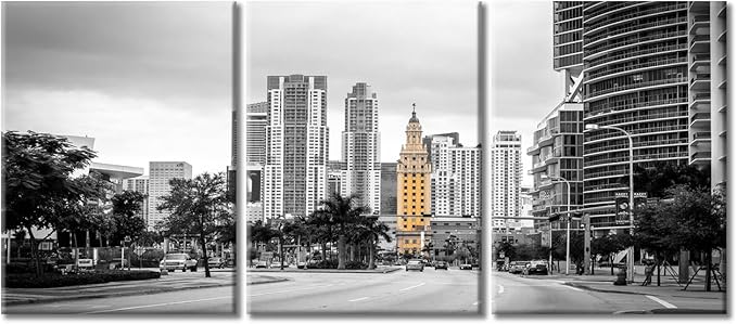 TUMOVO American Cityscape Canvas Wall Art Miami USA Downtown City Skyline Artwork Pictures Black and White Wall Art 3 Panel Posters and Prints Framed Ready to Hang (36" Wx16 H)