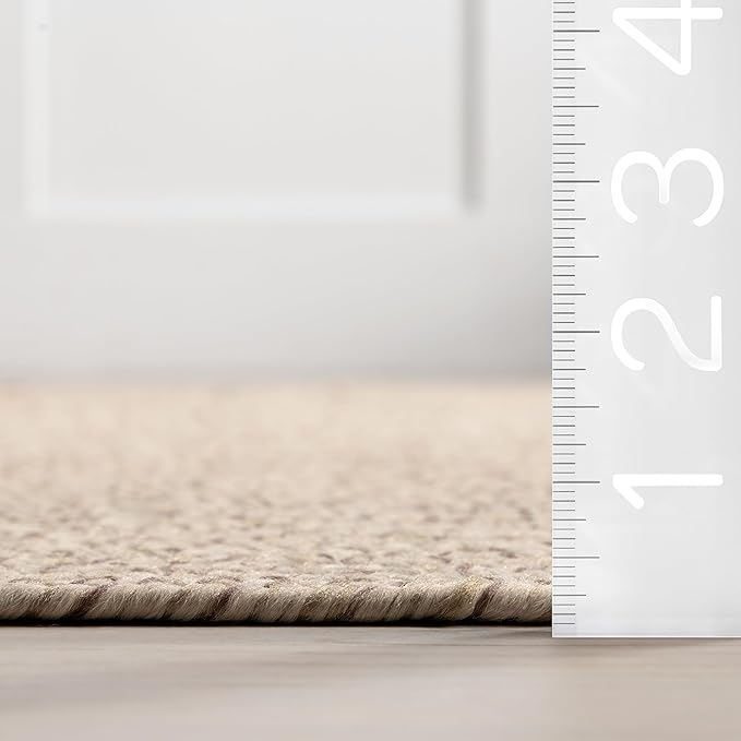 nuLOOM Wynn Braided Indoor/Outdoor Area Rug, 3x5, Tan