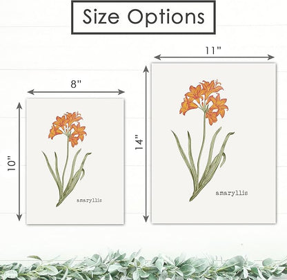 Vintage Botanical Wall Art Prints (Set of 6) - Unframed - 11x14 | Flower Wall Decor | Kitchen Wall Decor | Vintage Wall Decor | Botanical Wall Art | Aesthetic Wall Décor | Living Room Decor