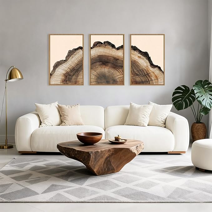 KAIRNE Vintage Tree Rings Framed Canvas Wall Art Set, Retro Wood Stump Wall Decor, Neutral Tree Spiral Art Prints, Modern Annual Ring Artwork for Living Room, Bedroom, Farmhouse, Office-16 x24 x3