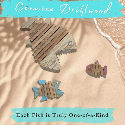 Driftwood Fish 3-in-1 Nautical Wall Decor - Handmade Wooden Rustic Coastal Wall Art for Living Room, Bedroom, Office, Bathroom - Ocean Beach Decoration (Skelly)
