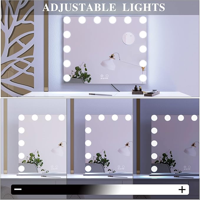 ANYHI Vanity Mirror with Light, Large Hollywood Lighted Makeup Mirror 14 Dimmable LED Bulbs, Smart Touch Control, Tabletop or Wall-Mounted, Detachable 10x Magnification, 24.4" x 20.2" (Silver)