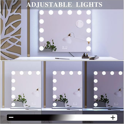ANYHI Vanity Mirror with Light, Large Hollywood Lighted Makeup Mirror 14 Dimmable LED Bulbs, Smart Touch Control, Tabletop or Wall-Mounted, Detachable 10x Magnification, 24.4" x 20.2" (Silver)