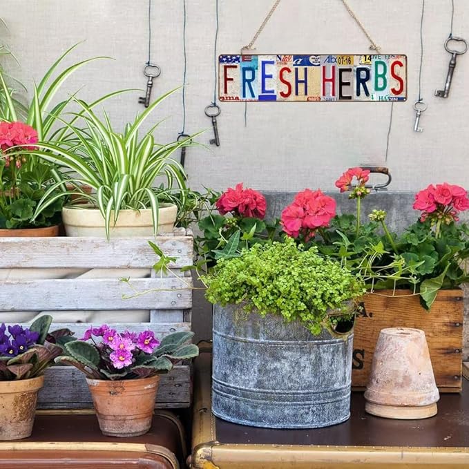 Fresh Herbs Metal Sign Country Farmhouse Home Gardener Tin Sign License Plate Design Street Signs Home Wall Decor 16" x 4"