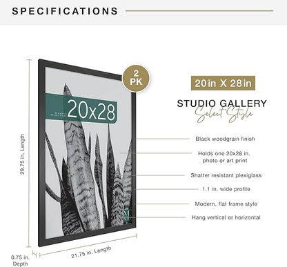 MCS Studio Gallery 20x28 Poster Frame Black Woodgrain Engineered Wood, Vertical & Horizontal Wall Hanging Large Picture Frame for Photos, Posters & Art Prints (2-Pack)