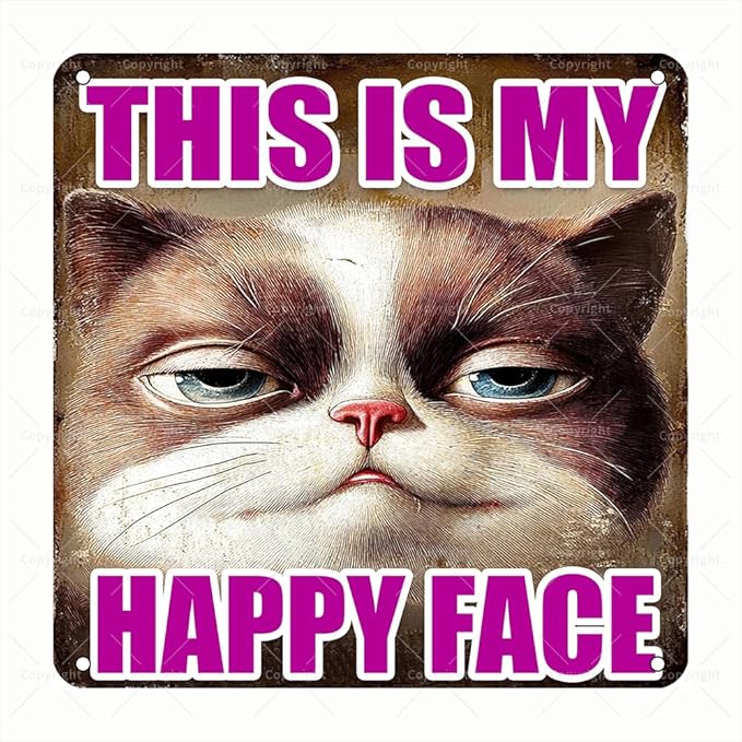 Vintage Square Tin Sign - This Is My Happy Face Funny Angry Cat Wall Art - Rustic Square Metal Tin Sign for Cat Lovers, Home Decor, Office, Bedroom - Metal Wall Art Gift for Pet Owners