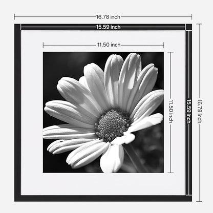 eletecpro Gallery Wall Frame Set of 3, 16x16 Inch Square Black Frames with 12x12 Mat, Scratch-Resistant Finish for Modern Home Decor