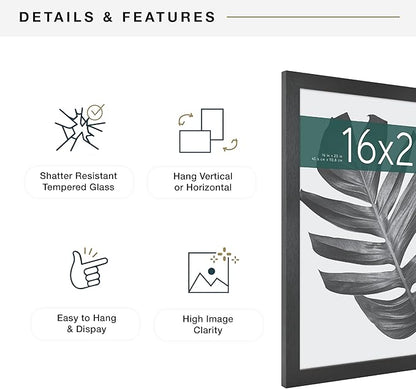 MCS Studio Gallery 16x20 Poster Frame Black Woodgrain Engineered Wood, Vertical & Horizontal Wall Hanging Large Picture Frame for Photos, Posters & Art Prints (1-Pack)