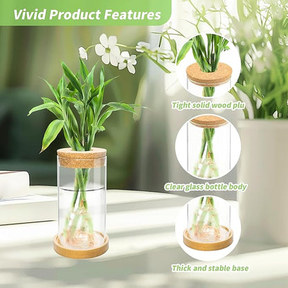 8 Pcs Plant Terrarium Desktop Glass Planter Plant Propagation Tabletop Propagation Vase Containers with Cork and Wooden Saucer for Growing Hydroponic Plants Garden Home Office Decor-