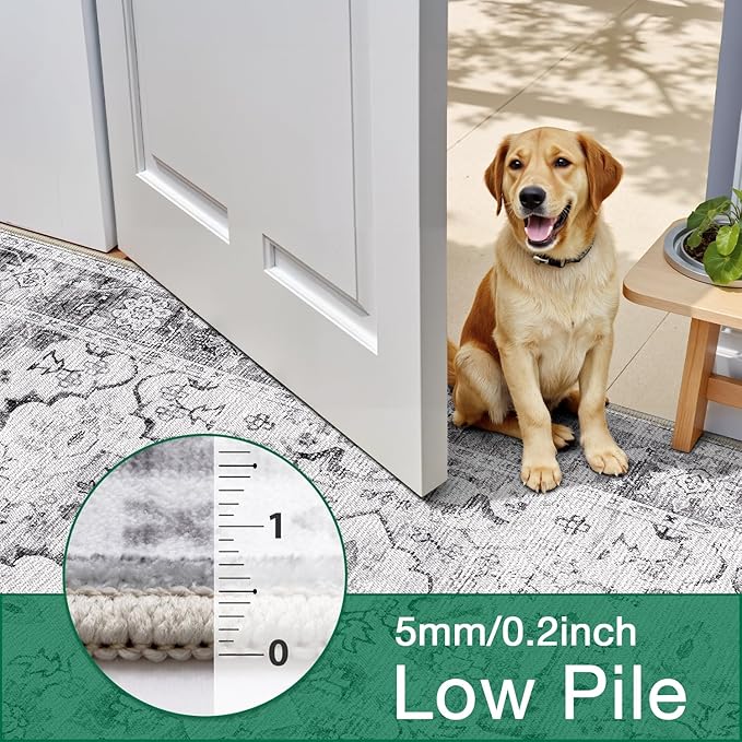 LUMI 8x10 Washable Area Rug for Living Room, Ultra Soft Stain Resistant Carpet with Non Slip Rubber Backing, Non-Shedding Low Pile Rugs for Bedroom, Dining Room, Indoor, Office
