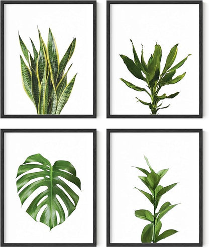 HAUS AND HUES Plant Photo Set of 4-8x10
