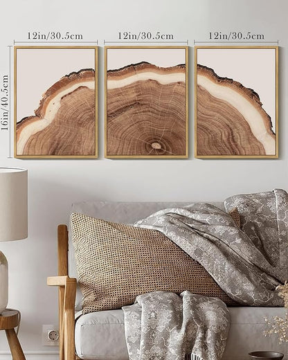 Drsoum Vintage Retro Tree Rings Wood Framed Wall Art Modern Wood Stump Nature Rustic Artwork Bedroom Living Room Ready to Hang 12x16in Natural Framed