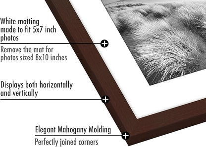 Americanflat 8x10 Picture Frame with Polished Plexiglass - Set of 5 - Use as 5x7 Frame with Mat or Display 8x10 Photo Without Mat - Galleria Collection - Picture Frames for Tabletop or Wall - Mahogany