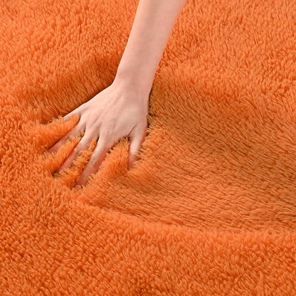 Andecor Shag Area Rug for Living Room, 5x8 Feet Orange Soft Fluffy Indoor Plush Throw Rugs for Bedroom Girls Kids Room Nursery Dorm Home Decor Carpet