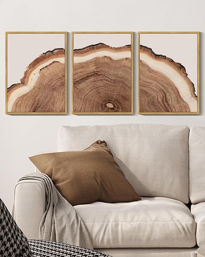 Drsoum Vintage Retro Tree Rings Wood Framed Wall Art Modern Wood Stump Nature Rustic Artwork Bedroom Living Room Ready to Hang 12x16in Natural Framed