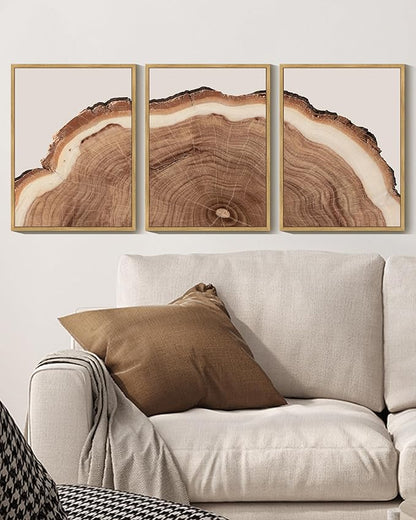 Drsoum Vintage Retro Tree Rings Wood Framed Wall Art Modern Wood Stump Nature Rustic Artwork Bedroom Living Room Ready to Hang 12x16in Natural Framed