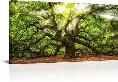 Conipit Landscape Canvas Wall Art Angel Oak Tree Picture Prints South Carolina Tree Art Print Framed and Stretched Nature Canvas (W-48xH-24)