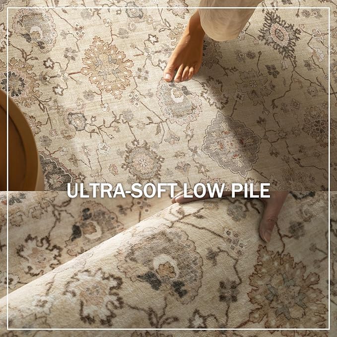 Machine Washable Rug for Living Room: 5x7 Area Rugs Boho Vintage Rug Stain Resistant Non Slip Low Pile Soft Lightweight Carpets for Bedroom Kitchen Dining Room Nursery Kids Room Farmhouse