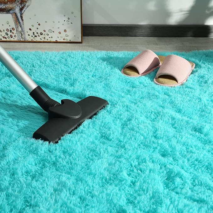 Andecor Soft Fluffy Bedroom Rugs, 4 x 6 Feet Indoor Shaggy Plush Area Rug for Boys Girls Kids Baby College Dorm Living Room Home Decor Floor Carpet, Teal Blue
