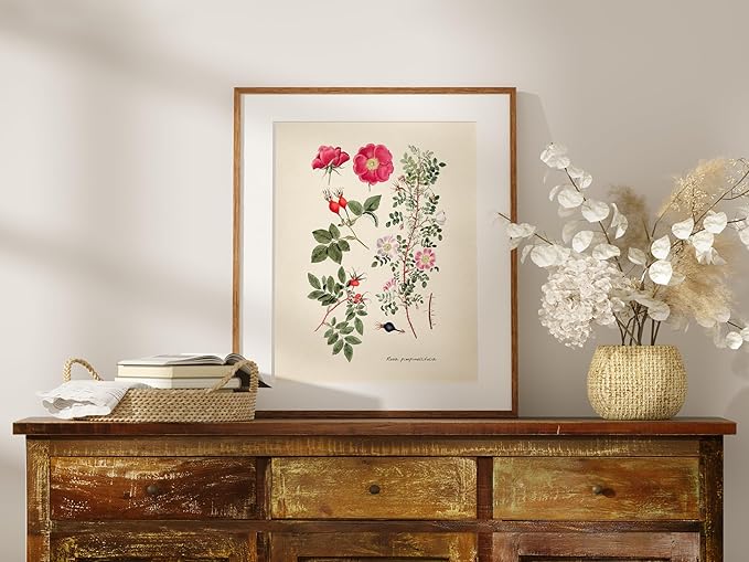 DREAM BIG PRINTABLES Vintage Roses Wall Art Prints (Set of 6) - Unframed - 8x10s | Botanical Decor - Vintage Sketch Prints - French Country - Flower Aesthetic Room Decor