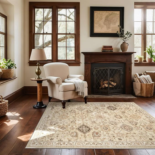 Washable Entryway Small Area Rugs: Door Mat Indoor Entrance 3x5 Rug Stain Resistant Non Slip Soft Carpet Rug for Kitchen Front Door Indoor Entrance Entry Bedroom Kids Room
