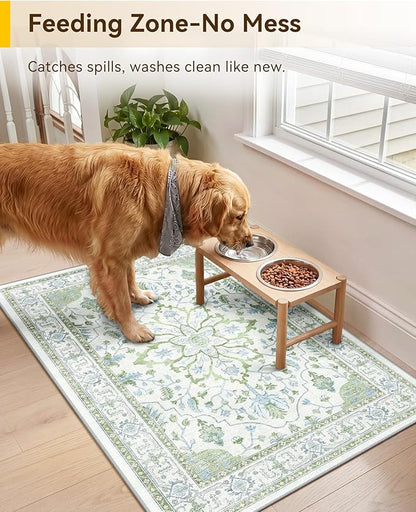 RELEANY Area Rugs 2'x3' Kitchen Rugs Entry Rug Small Rugs for Entryway Kitchen Bathroom Door Mat Indoor Entrance,Washable Non Slip, Green White Blue