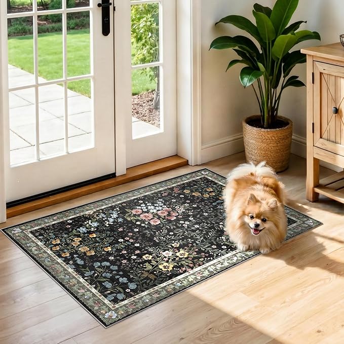 Washable Area Rugs 2x3 Entryway: Soft Ultra Thin Low Pile Mat Machine Washable Indoor Doormat Lightweight Entry Rug Anti Slip Backing Rugs for Living Room Bedroom Kitchen 2'x3' Black