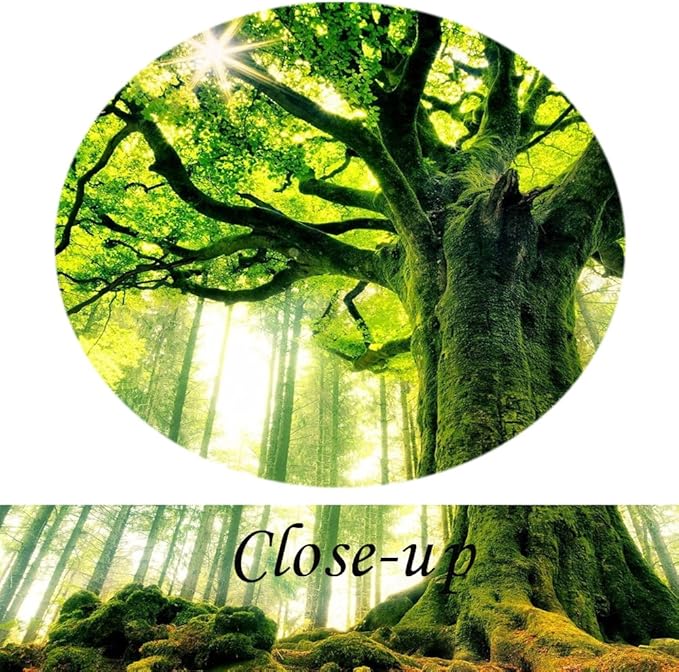 KREATIVE ARTS Extra Large Canvas Art Print Spring Forest Nature Green Big Tree Wall Art Photo Printed on Canvas Framed Artwork for Office Wall Decoration Ready to Hang 24x48inch