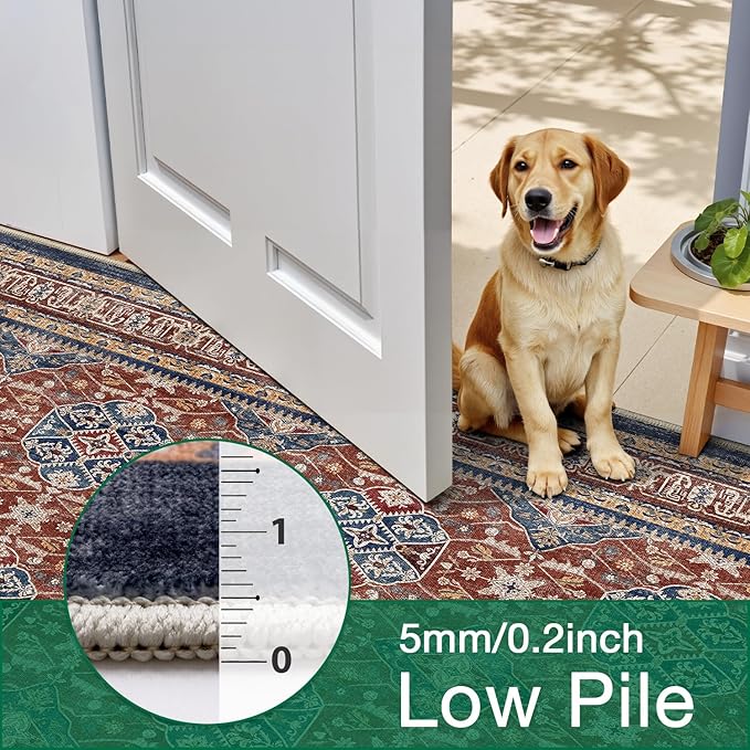 LUMI 5x8 Washable Area Rug for Living Room, Ultra Soft Stain Resistant Carpet with Non Slip Rubber Backing, Non-Shedding Low Pile Rugs for Bedroom, Dining Room, Indoor, Office