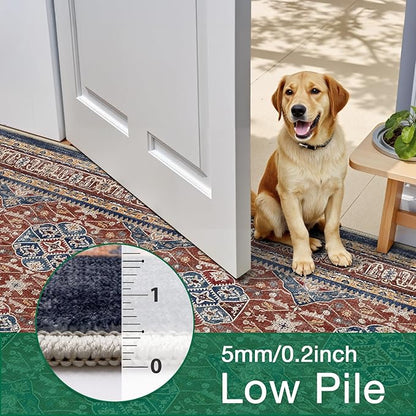 LUMI 5x8 Washable Area Rug for Living Room, Ultra Soft Stain Resistant Carpet with Non Slip Rubber Backing, Non-Shedding Low Pile Rugs for Bedroom, Dining Room, Indoor, Office