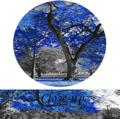 KREATIVE ARTS Canvas Print Wall Art Painting Contemporary Blue Tree In Black And White Style Fall Landscape Picture Modern Giclee Stretched And Framed Artwork (XLarge Size 80x40inch)
