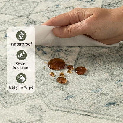 Rugxara Washable Area Rug for Living Room, Bedroom Kitchen(3'x5')