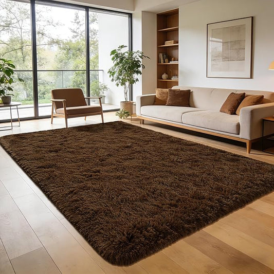 Andecor Shag Area Rug for Living Room, 4x6 Feet Coffee Soft Fluffy Indoor Plush Throw Rugs for Bedroom Girls Kids Room Nursery Dorm Home Decor Carpet