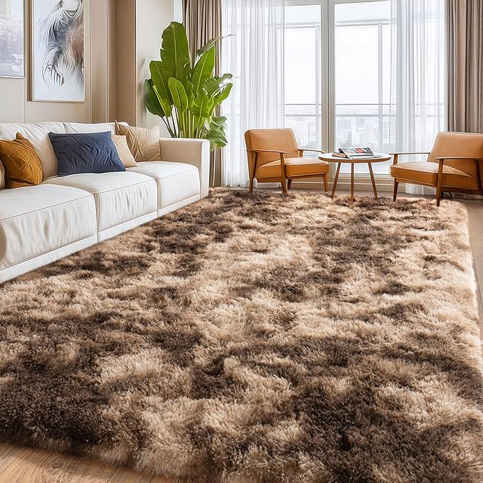 Area Rug for Living Room, Furry Carpet for Teen, Shaggy Rug for Nursery Room, Fuzzy Plush Rug for Dorm 6x9 Feet