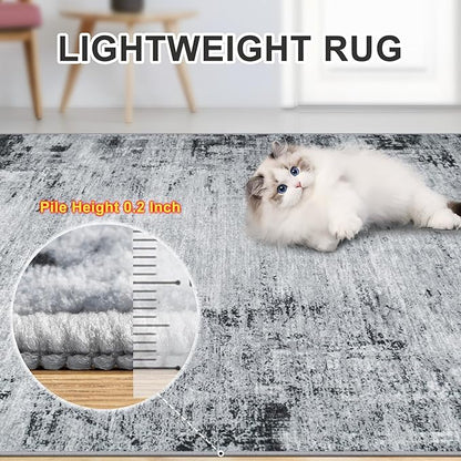 Area Rugs Living Room Rug - 4x6 Washable Modern Abstract Soft Neutral Non-Slip Carpet Large Indoor Floor Thin Carpets for Bedroom Dining Room Farmhouse Nursery Home Office Black