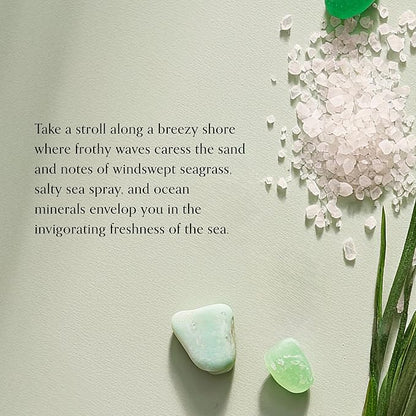 Chesapeake Bay Mood-Evoking Reed Diffuser, Marine Drift Scent, Sea Glass-Inspired Jar, Room Filling Fragrance Made with Essential Oils, Coastal Fragrance for Home Décor or Gifting