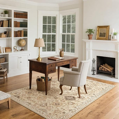 Washable Entryway Small Area Rugs: Door Mat Indoor Entrance 3x5 Rug Stain Resistant Non Slip Soft Carpet Rug for Kitchen Front Door Indoor Entrance Entry Bedroom Kids Room