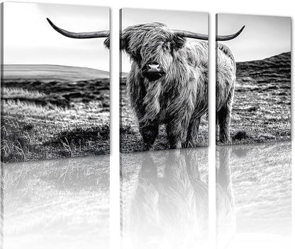 Funny Highland Cow Canvas Wall Art Vintage Farmhouse Cow Picture for Bathroom Wall Decor Black and White Animal Print Artwork for Country House Living Room Bedroom Decoration 20x28inchx3pcs