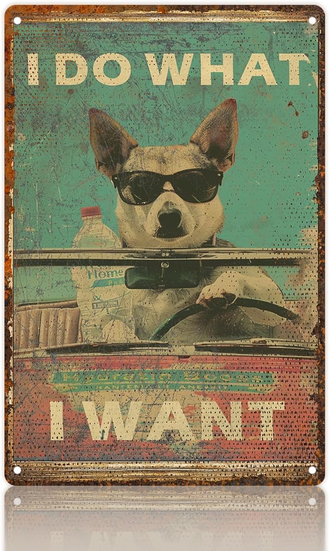 8"x12" Vintage Funny Dog Driving Metal Wall Decor - Humorous "I DO WHAT I WANT" Iron Plaque with Smooth Edge & Holes for Home, Office, Man Cave