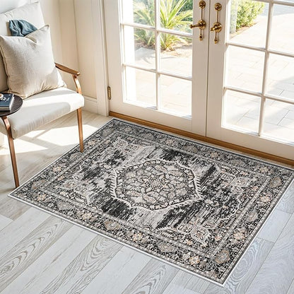 Washable Area Rugs 2x3 Entryway: Soft Ultra Thin Low Pile Mat Machine Washable Indoor Doormat Lightweight Entry Rug Anti Slip Backing Rugs for Living Room Bedroom Kitchen 2'x3' Black