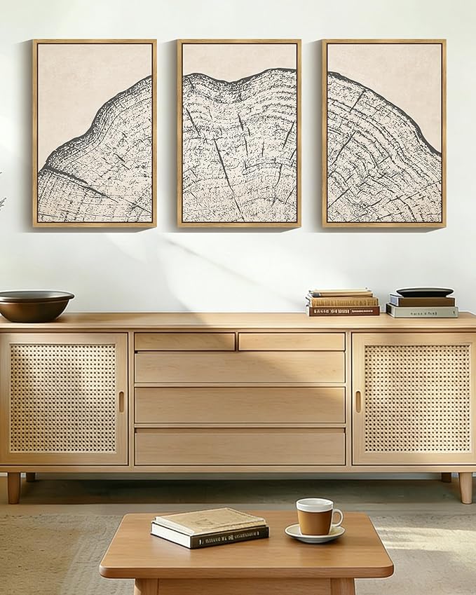 PHOPAGO Farmhouse Vintage Framed Wall Art Large 16x24in Set Gray Wood Tree Ring Spirals Nature Abstract Drawings Rustic Modern Art Decor for Living Room Bedroom - Natural Framed
