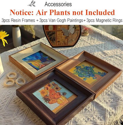 2-in-1 Magnetic Van Gogh Wall Art & Air Plant Holder Frame 3 pack Floating Airplant Holder No-Drill with Famous Prints (Café Terrace, Irises, Sunflowers) for Living Room Bedroom Home Decor Lover Gift