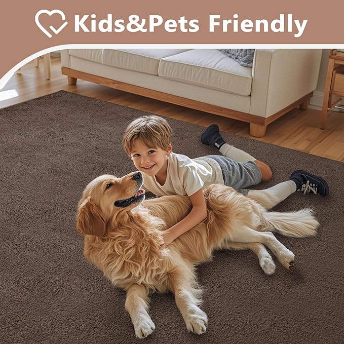 FinRèc 4x6 Washable Area Rugs for Bedroom Living Room, Low Pile Thin Rug Solid Color, Non-Slip Carpet Indoor for Home Decor (Pure Brown)