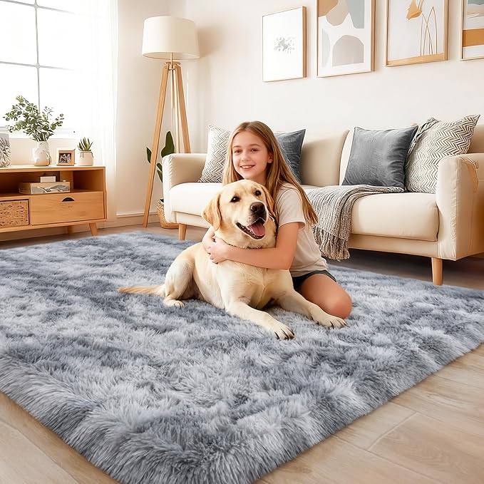 Rug for Living Room Bedroom, 5x7 Area Rugs for Living Room, Ultra Soft Modern Shaggy Carpets Fuzzy Rug for Boys Girls Dorm Nursery Home Decor Aesthetic, Upgrade Non-Slip Durable, Tie-Dye Silver Grey