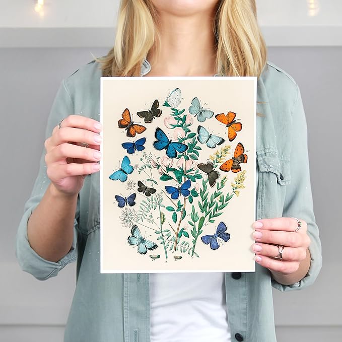 DREAM BIG PRINTABLES Vintage Butterfly Wall Art Print - Unframed - 8x10 | Botanical Wall Decor | Reproduction of Authentic Vintage Drawings for Home or Office