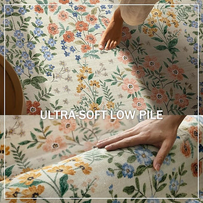 Machine Washable Area Rugs for Entryway: Door Mat Indoor Entrance 2x3 Small Throw Rug Non-Slip Low Pile Kitchen Rug for Front Door Indoor Entrance Entry Bedside Living Room