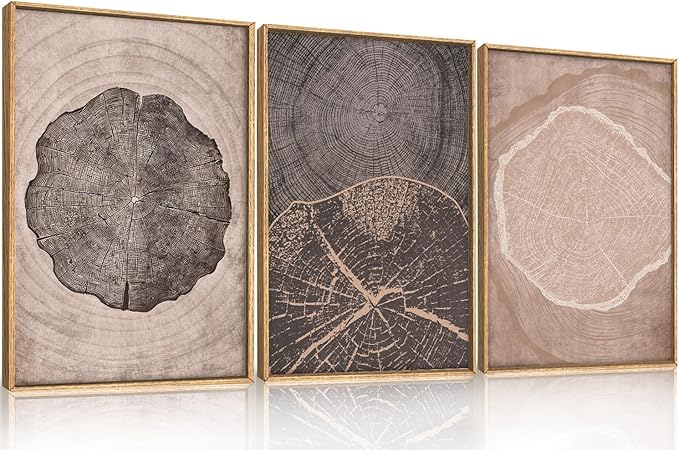 HOURIA Neutral Brown Tree Rings Framed Canvas Wall Art Set,Vintage Abstract Dark Gray Wood Stump Wall Decor,Modern Minimalist Wood Grain Slice Artwork for Living Room,Bedroom,Farmhouse- 24"x36"x3