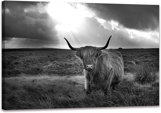 Black and White Highland Cow Wall Art Decor Prints Poster Animal Picture Framed Highland Cow Artwork Framed for Living room Bedroom (20x30 inch)