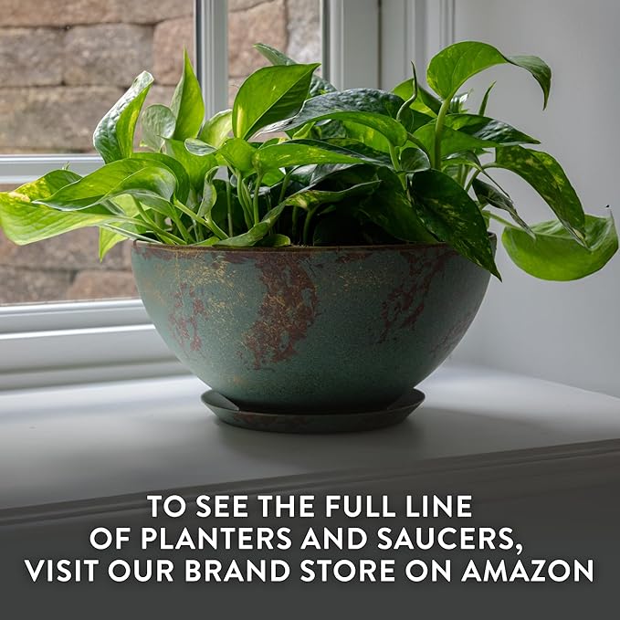 Classic Home and Garden by Growscape Rosie Modern Planter w/Drainage - Contemporary Planter Bowls - Shallow Round Vases for Small Plants - Versatile Indoor & Outdoor Pots (10” Earth)
